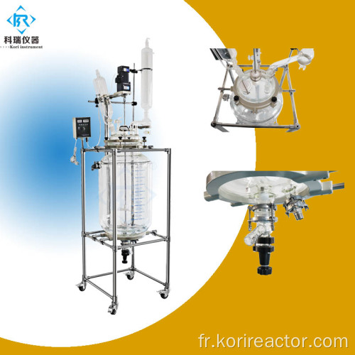 Réacteurs chimiques à l&#39;échelle du laboratoire SF-100L